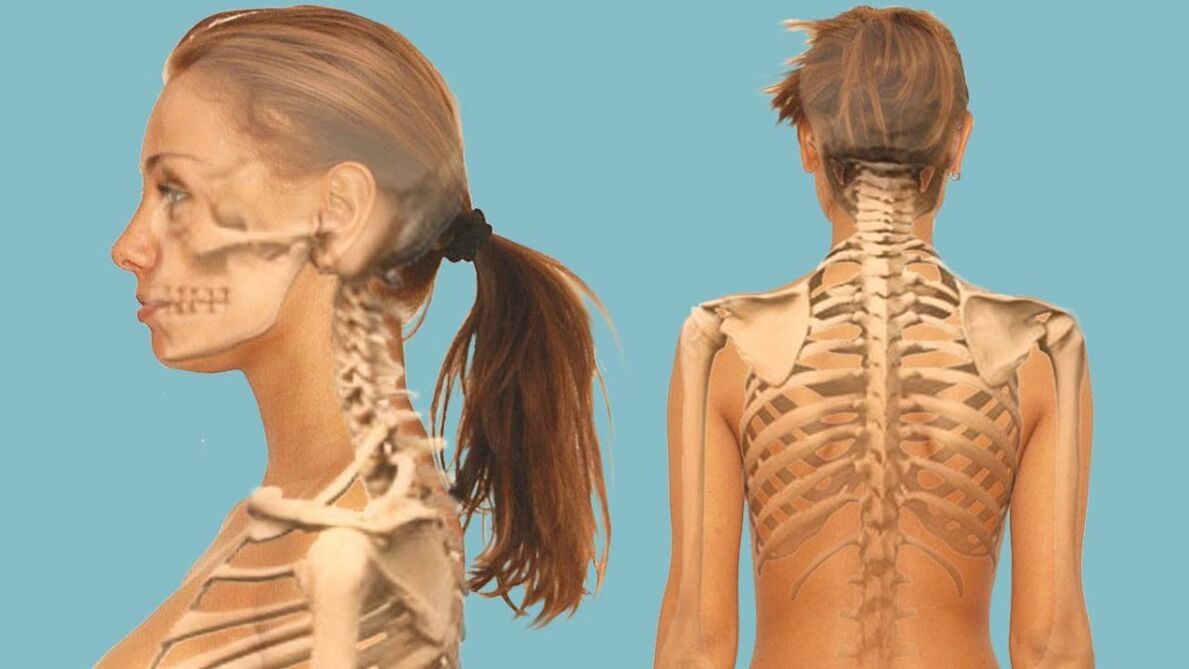 Cervical spine