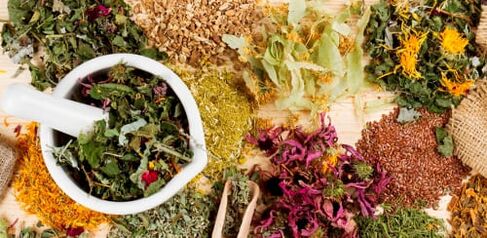 Raw materials for preparing folk remedies for thoracic osteochondrosis